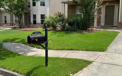 Photo of Terrence D.'s yard after getting lawn care in Mcdonough, GA
