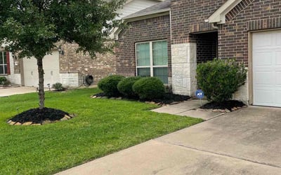 Photo of Jamila R.'s yard after getting lawn care in Perris, CA