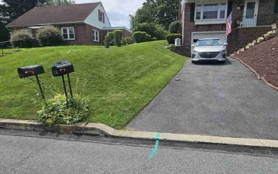Photo of Henrietta A.'s yard after getting lawn care in Southfield, MI