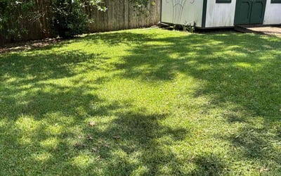 Photo of Catherine L.'s yard after getting lawn care in Williamsport, PA