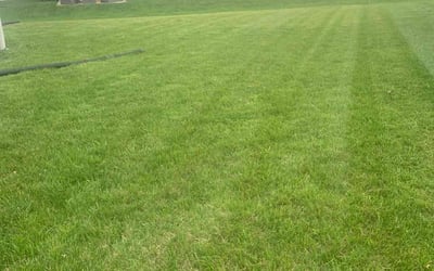 Photo of Judith G.'s yard after getting lawn care in Alton, IL