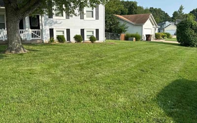 Photo of Latisha K.'s yard after getting lawn care in Union, MO