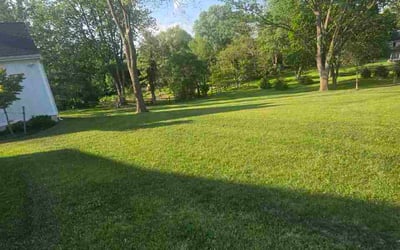 Photo of Lyntel M.'s yard after getting lawn care in Alabaster, AL