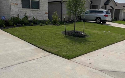 Photo of Julie R.'s yard after getting lawn care in Alhambra, CA