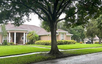 Photo of Carisa S.'s yard after getting lawn care in Brandon, FL