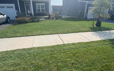 Photo of JennetteJ F.'s yard after getting lawn care in Albrightsville, PA