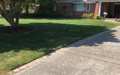 Photo of Michael J.'s yard after getting lawn care in Lynchburg, VA
