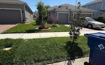 Photo of Joshua H.'s yard after getting lawn care in Groveland, FL