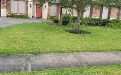 Photo of Laura A.'s yard after getting lawn care in Seabrook, TX