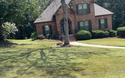 Photo of Sal D.'s yard after getting lawn care in Trussville, AL