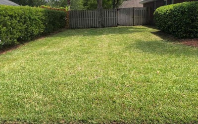 Photo of Kyle M.'s yard after getting lawn care in Melrose, MA