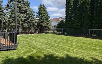 Photo of Marilyn C.'s yard after getting lawn care in Charlotte, MI