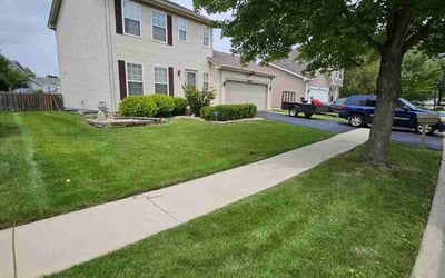 Photo of Karen R.'s yard after getting lawn care in Plainfield, IL