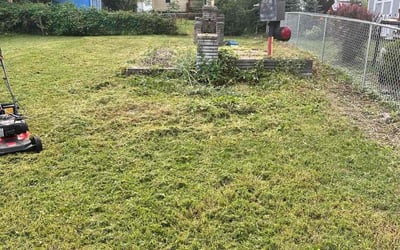 Photo of Elaine B.'s yard after getting lawn care in Mount Clemens, MI