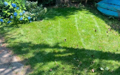 Photo of Austin D.'s yard after getting lawn care in Chelsea, MA