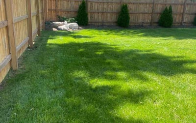 Photo of Tarra J.'s yard after getting lawn care in Hickory Hills, IL