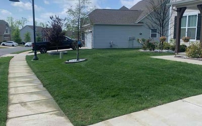 Photo of Bruce C.'s yard after getting lawn care in Chester, SC