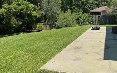 Photo of Vineet M.'s yard after getting lawn care in Maspeth, NY