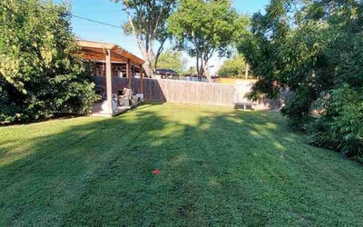 Photo of James R.'s yard after getting lawn care in Arlington, TX