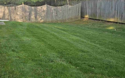 Photo of Mary K.'s yard after getting lawn care in Ocean City, NJ