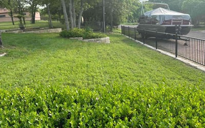 Photo of Tina H.'s yard after getting lawn care in Belton, TX