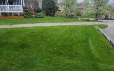 Photo of Sean L.'s yard after getting lawn care in Wilmington, MA
