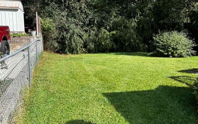 Photo of Tim D.'s yard after getting lawn care in Birmingham, AL