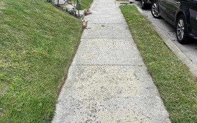 Photo of Linda A.'s yard after getting lawn care in Marcus Hook, PA