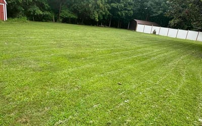 Photo of Linda B.'s yard after getting lawn care in Morton, IL