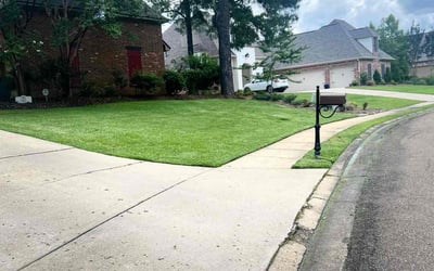 Photo of Adrian B.'s yard after getting lawn care in Madison, MS