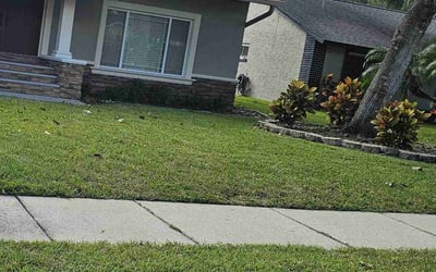 Photo of Graham F.'s yard after getting lawn care in Palm Harbor, FL