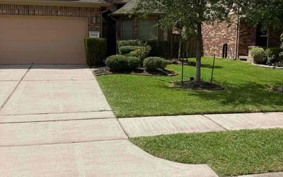 Photo of Sandra H.'s yard after getting lawn care in Las Vegas, NV