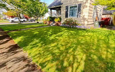 Photo of Patrick M.'s yard after getting lawn care in Tacoma, WA
