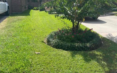 Photo of Tammie H.'s yard after getting lawn care in Porter, TX