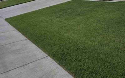 Photo of Patrice A.'s yard after getting lawn care in Green Valley, AZ