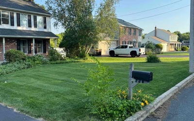 Photo of Chrissy R.'s yard after getting lawn care in Harleysville, PA