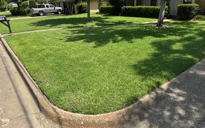 Photo of Victoria A.'s yard after getting lawn care in Panama City, FL