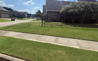 Photo of Carrie S.'s yard after getting lawn care in Chatham, NJ