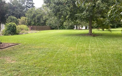 Photo of Jamie S.'s yard after getting lawn care in Plaquemine, LA