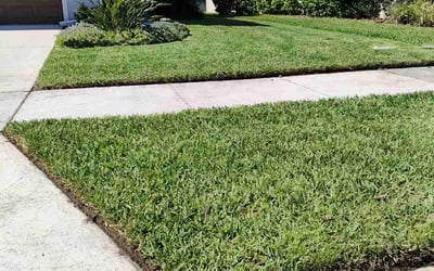 Photo of Jessica T.'s yard after getting lawn care in El Cerrito, CA