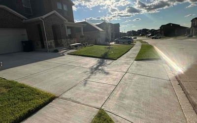 Photo of Anita S.'s yard after getting lawn care in Balch Springs, TX