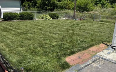 Photo of Patrick P.'s yard after getting lawn care in Nixa, MO