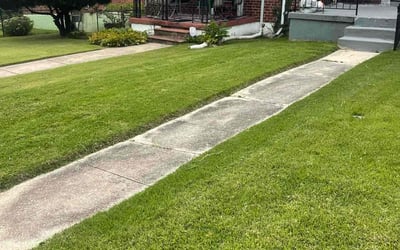 Photo of Steven C.'s yard after getting lawn care in Havre De Grace, MD