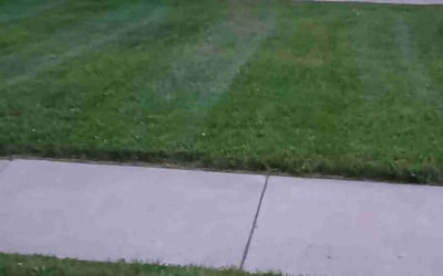 Photo of Damon L.'s yard after getting lawn care in Kalamazoo, MI