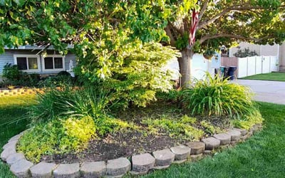 Photo of John B.'s yard after getting lawn care in Brigham City, UT