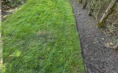 Photo of Yi E.'s yard after getting lawn care in Stanwood, WA
