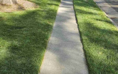 Photo of Ryan V.'s yard after getting lawn care in Aylett, VA
