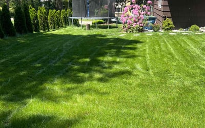 Photo of Niki M.'s yard after getting lawn care in Canton, MA