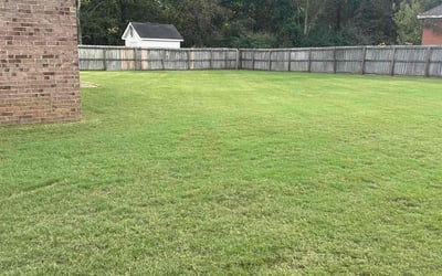 Photo of Yvonne C.'s yard after getting lawn care in Wetumpka, AL