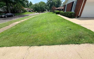Photo of Josh P.'s yard after getting lawn care in Springboro, OH